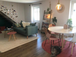Superbe LOFT- JARDIN - RELAX - CONFORT -CENTRE DIJON